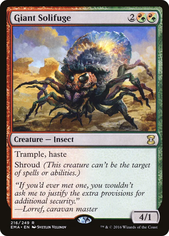 Giant Solifuge