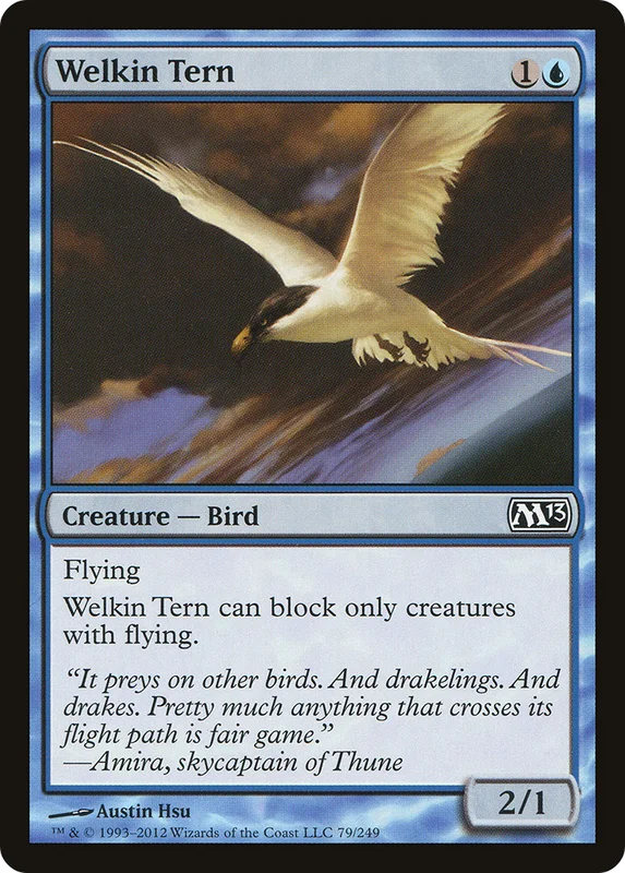Welkin Tern