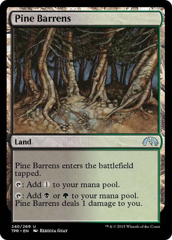 Pine Barrens