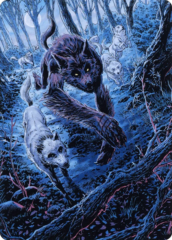 Untamed Pup // Untamed Pup