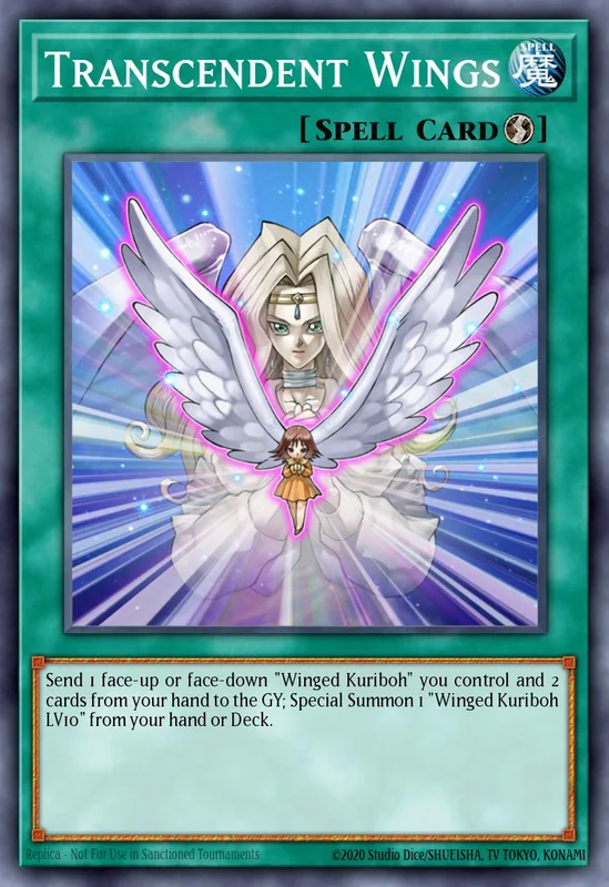 Transcendent Wings