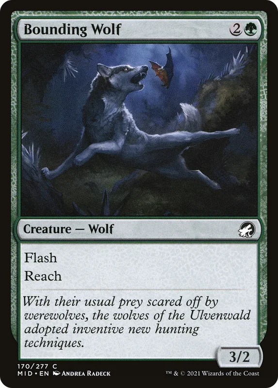 Bounding Wolf