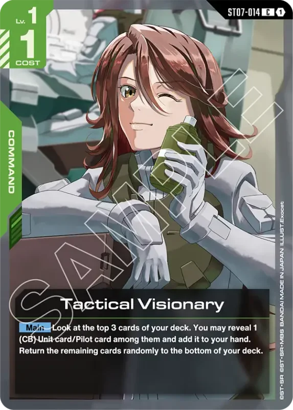 Tactical Visionary