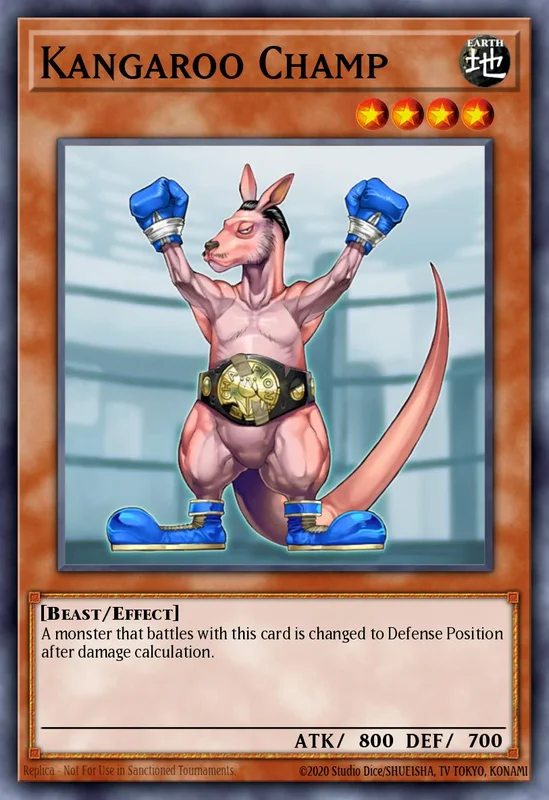 Kangaroo Champ