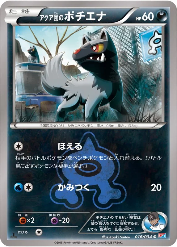 Team Aqua's Poochyena