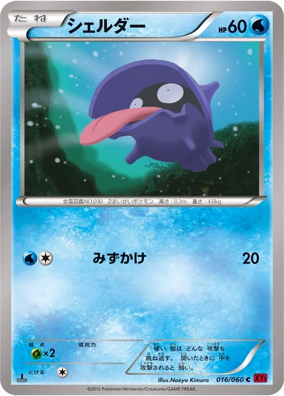 Shellder (Collection Y 016/060)