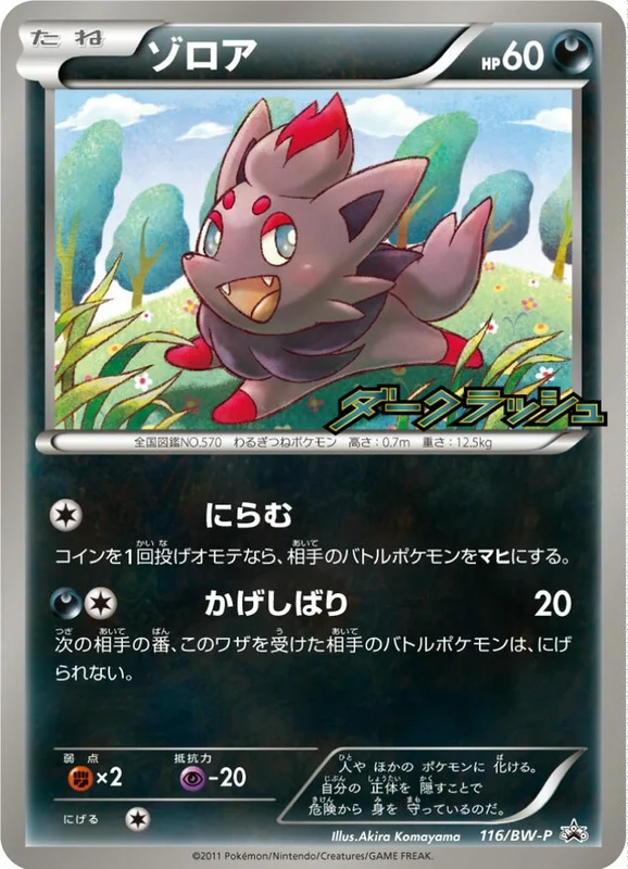 Zorua (Black & White Promos 116/BW-P)