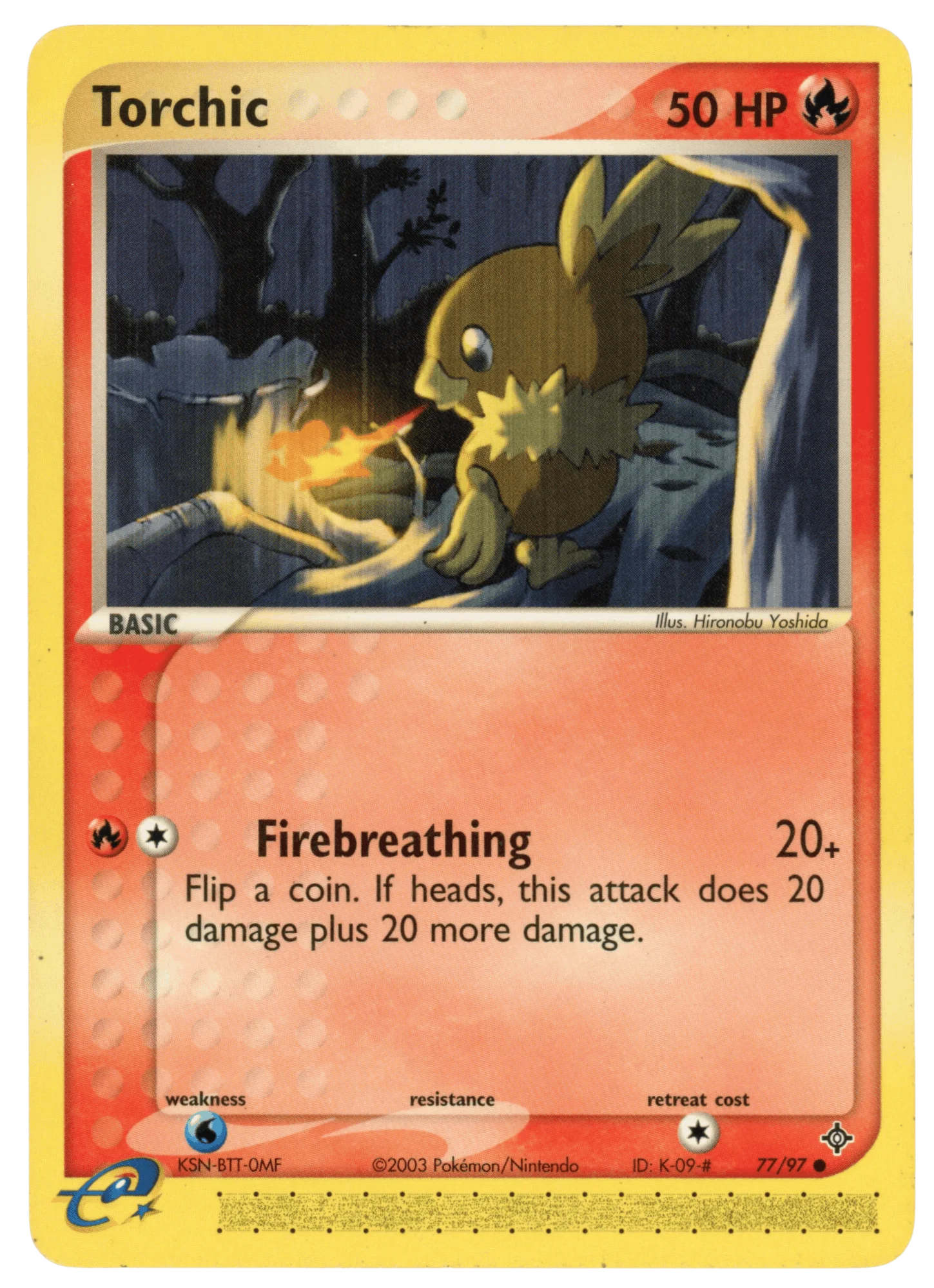 Torchic